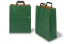 Sacchetti di carta con manici piatti - verde, 320 x 140 x 420 mm | PIT Packaging.it | Paesedellebuste