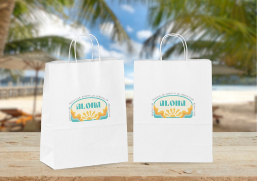 Sacchetti di carta con manici intrecciati | PIT Packaging.it | Paesedellebuste