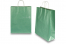 Sacchetti di carta con manici intrecciati - verde metallizzato, 320 x 120 x 410 mm, 100 grammi | PIT Packaging.it | Paesedellebuste