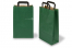 Sacchetti di carta con manici piatti - verde, 220 x 105 x 360 mm | PIT Packaging.it | Paesedellebuste