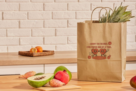 Sacchetti di carta con manici intrecciati | PIT Packaging.it | Paesedellebuste