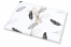 Carta velina - come carta da regalo | PIT Packaging.it | Paesedellebuste
