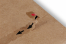 Buste a sacco per spedizione e reso | PIT Packaging.it | Paesedellebuste