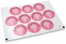 Sigilli per comunione - mi primera comunión croce rosa | PIT Packaging.it | Paesedellebuste