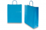 Sacchetti di carta con manici intrecciatip - blu, 320 x 120 x 410 mm, 100 grammi | PIT Packaging.it | Paesedellebuste